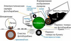 Схема работы лазерного принтера